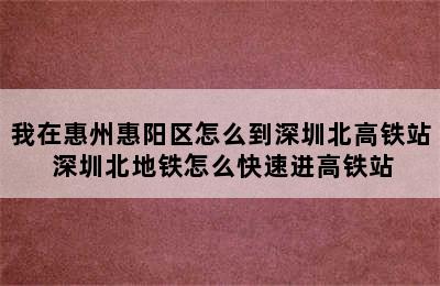 我在惠州惠阳区怎么到深圳北高铁站 深圳北地铁怎么快速进高铁站
